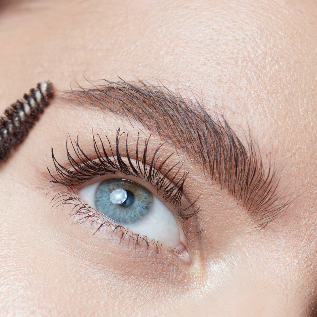 Image of model brushing out eyebrow